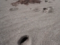 Playa do Trece