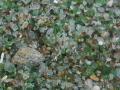 Playa de los Cristales