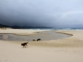 Playa y Laguna de Traba
