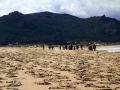 Playa y Laguna de Traba