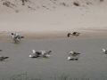 Playa y Laguna de Traba