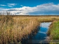 Rego da laguna de Traba