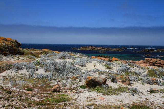 Playas de Reira
