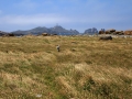 Playas de Reira