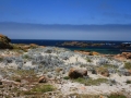 Playas de Reira