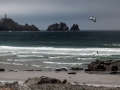 Playas de Reira
