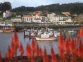 Puerto de Camariñas