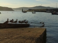 Puerto de Corme