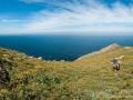 Subindo-de-punta-da-buitra
