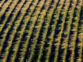 etapa7-122