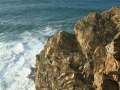 pa130113-200