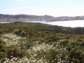 Punta do Cabalo