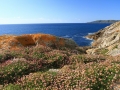 Punta do Cabalo