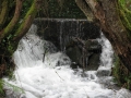 Rego dos Muiños