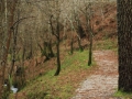Rego dos Muiños