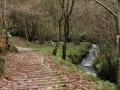 Rego dos Muiños