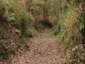 Rego dos Muiños