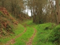 Rego dos Muiños