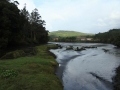 pa130113-133