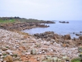 CHA_4371
