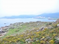 CHA_4390