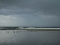 pa130113-125