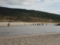 pa130804-043
