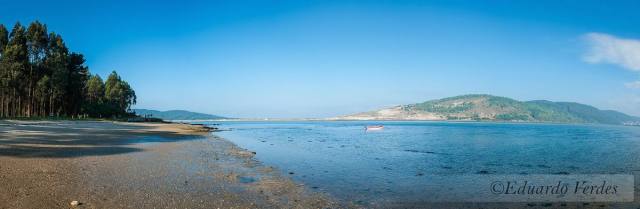 Estuario