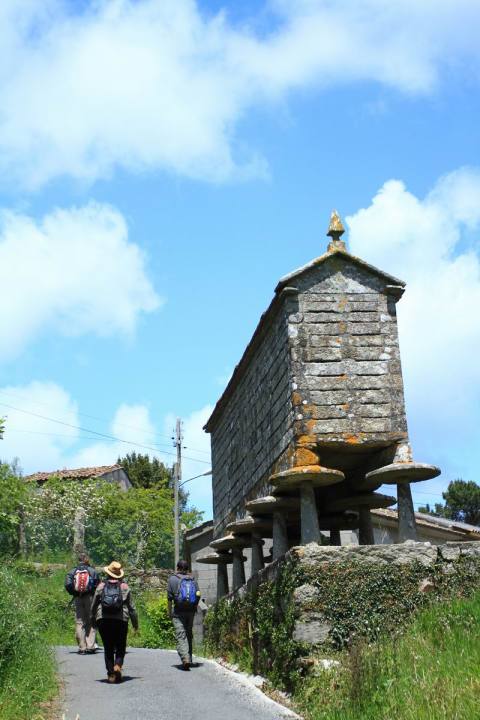 Vilaseco