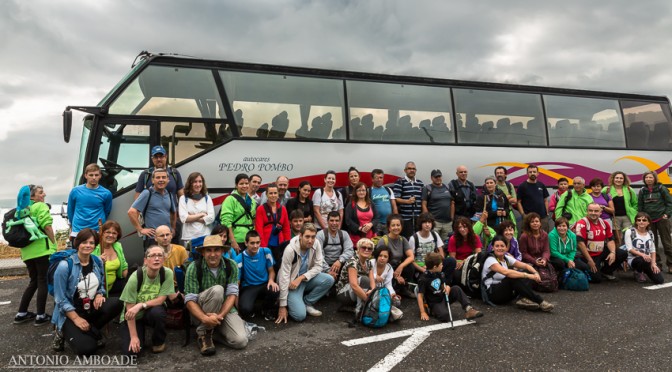 Autobuses