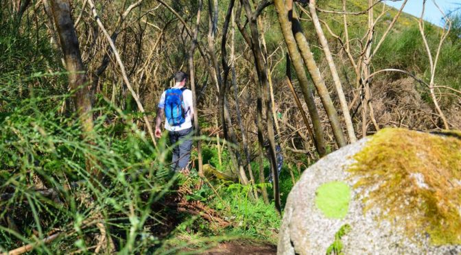 Comenzamos a realizar el Estudio de Definición de Sendero (EDS)