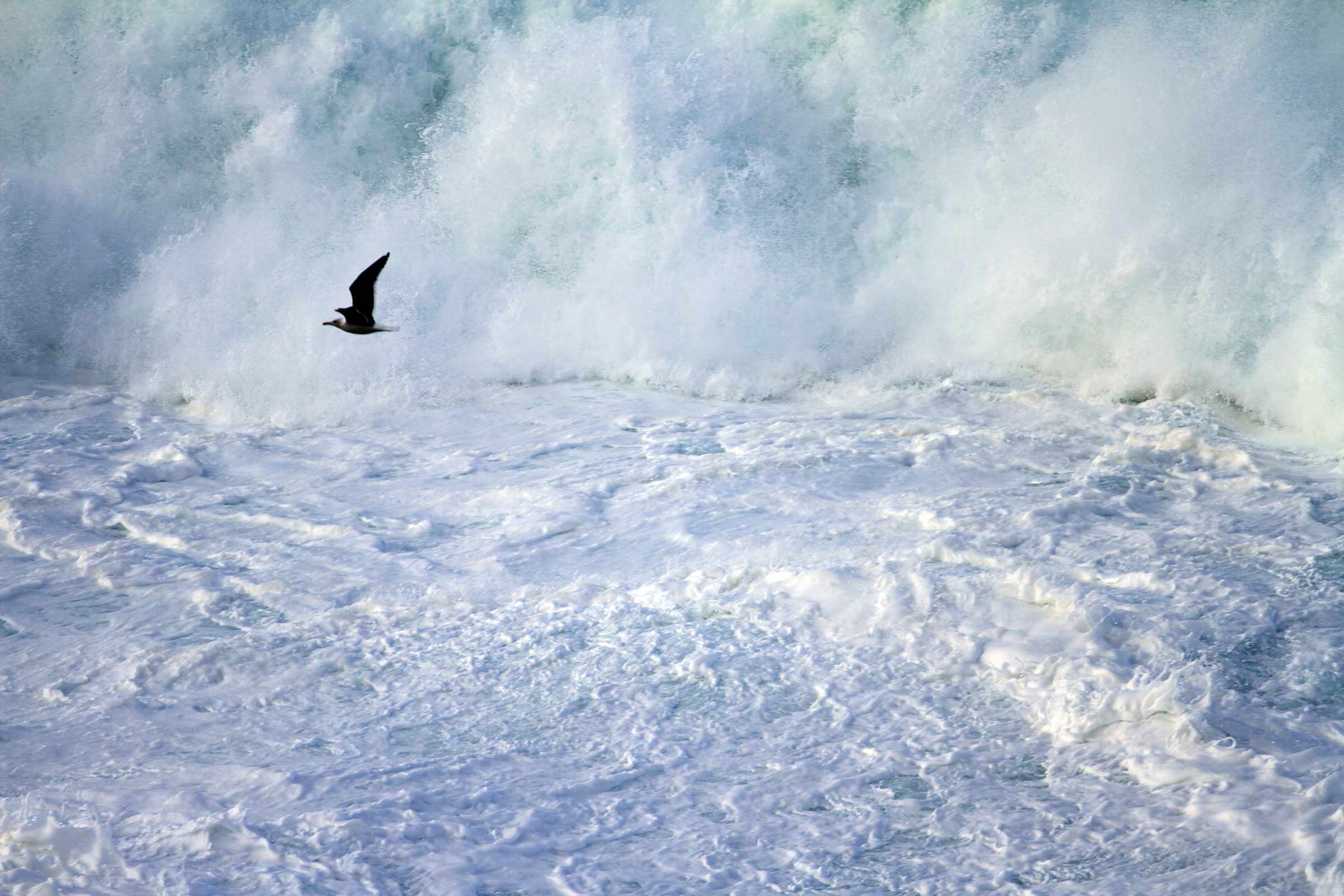 temporal-no-roncudo-2013-12-31-076-copia