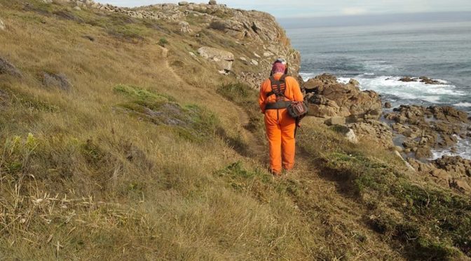 Los 9 concellos limpian su tramo de O Camiño dos Faros