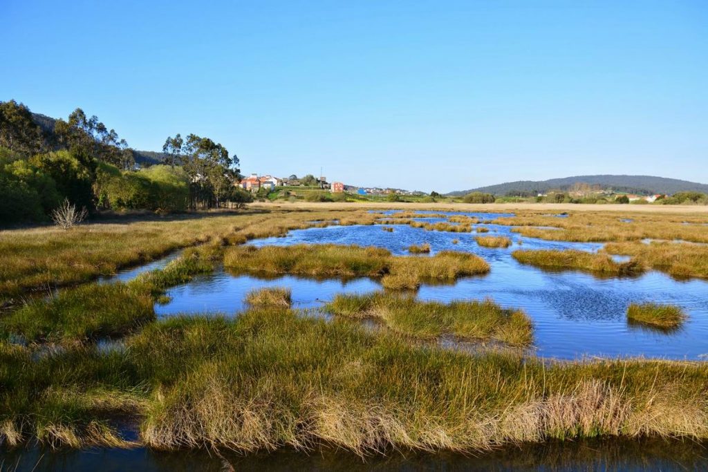Estuario do Río Anllóns