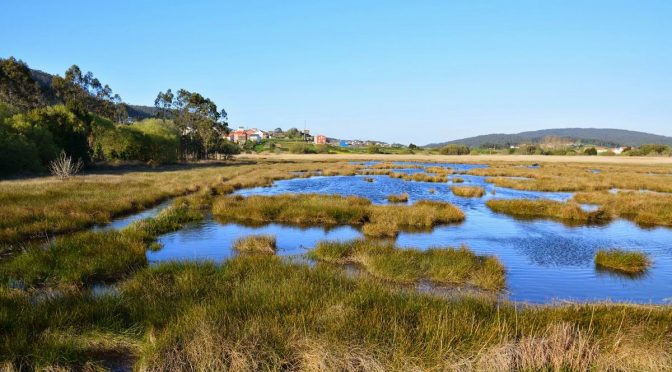 Estuario do Río Anllóns