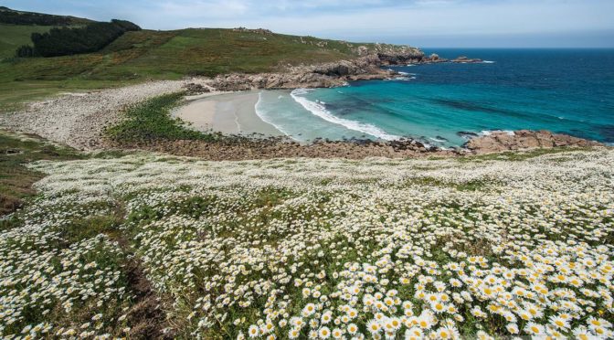 Praia de Moreira